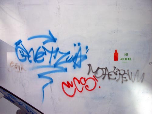 shishman8